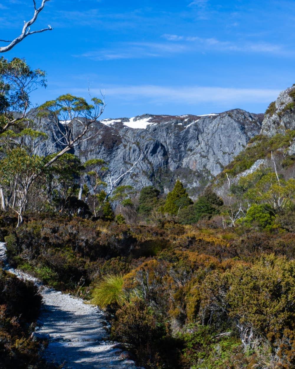 Tasmania 2019 6